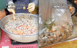 Bỏ 50.000 đồng mua món ốc lạ ở Việt Nam, khách Tây mỏi nhừ tay vì ăn mãi không xong