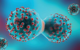 Loại củ ăn mùa đông làm ấm nóng cơ thể, người Việt nên ăn để ngăn ngừa tế bào ung thư