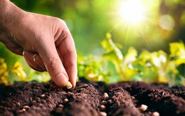 7 quy luật thay đổi cuộc đời: Vì sao 90% mọi người bỏ cuộc ngay trước ngưỡng cửa thành công?