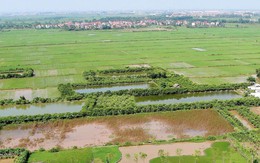 Những trường hợp này được miễn thuế sử dụng đất nông nghiệp từ năm 2026 đến hết năm 2030