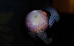 Công bố viên sapphire sao tím quý hiếm lớn chưa từng thấy