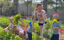 Khu vườn xanh mướt mắt nhà Chi Bảo và vợ trẻ khiến nhiều người ao ước