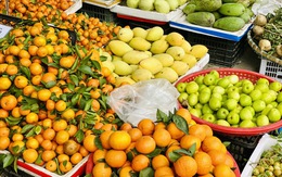 Nhiều loại quýt Trung Quốc đang 'đột lốt' hàng Việt bán tràn ngập thị trường