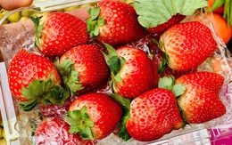 Tiểu thương lý giải nguyên nhân giá dâu tây Mộc Châu lên tới nửa triệu đồng/kg