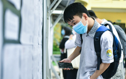 Hà Nội công bố kết quả kỳ thi chọn học sinh giỏi thành phố lớp 9