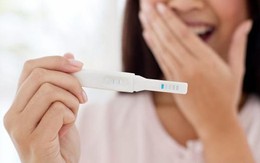 Nhận biết dấu hiệu thụ thai thành công: Khi nào cơ thể bắt đầu thay đổi?