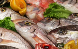 Nhu cầu dinh dưỡng đặc thù ở người bệnh ung thư gan