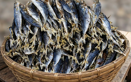 5 nhóm người cần tránh ăn cá khô