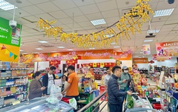 Sắm tết tại siêu thị BRGMart, Ngựa vàng khai vận 2026