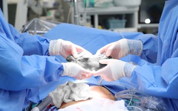 Người phụ nữ 46 tuổi phát hiện u gan kích thước lớn từ dấu hiệu nhiều người Việt mắc phải