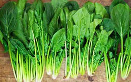 5 loại rau mùa đông giàu chất xơ tốt cho tiêu hóa