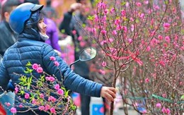 Thời tiết dịp Tết Nguyên đán Bính Ngọ 2026 mới nhất: Liệu có rét đậm, rét hại như các năm trước đây?