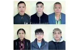 Thu mua, giết mổ lợn mắc bệnh tả lợn Châu Phi, 6 đối tượng bị khởi tố