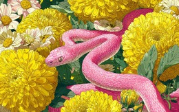 Không phải con giáp nào cũng thuận lợi đầu năm 2026: 3 cái tên cần đề phòng