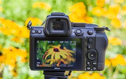 Cách chụp hoa đẹp ngày Tết để may mắn, thịnh vượng