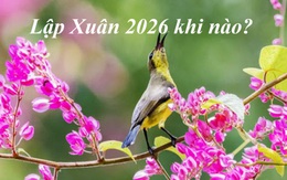 Lập Xuân 2026 – ngày khởi đầu của năm mới: Chuyên gia khuyên bí quyết đón năm mới tài lộc, hanh thông