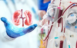 Loại củ mùa đông bán rẻ ở chợ Việt nhưng người bệnh suy thận cần hiểu rõ điều này