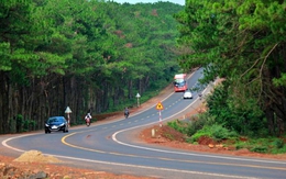Những hành vi tưởng là lỗi khi tham gia giao thông nhưng không bị cảnh sát phạt, lái xe có thể chưa biết