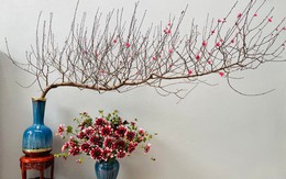 Mẹo chọn đào đẹp và phong thủy cho ngày Tết 2026