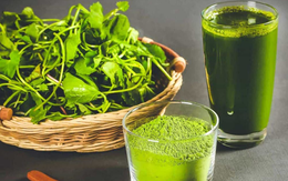 Đồ uống thanh mát ngày Tết giải độc, giảm đầy bụng do ăn nhiều dầu mỡ