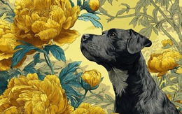 Tháng 2 mở vận phú quý: 3 con giáp làm gì cũng ra tiền, công việc hanh thông