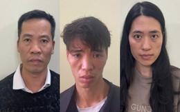 Đột nhập cửa hàng điện thoại trộm cắp tài sản, bị bắt sau 24 giờ gây án