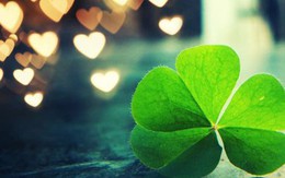 4 cung hoàng đạo vận may bất ngờ 'gõ cửa' trong ngày hôm nay: Có người chỉ cần cuộc điện thoại là giải quyết dứt điểm vấn đề bế tắc bấy lâu