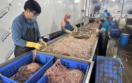 Phòng An ninh kinh tế - Công an Hà Nội triệt phá kho lạnh chứa hơn 63 tấn lòng lợn 'bẩn' 