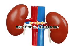 Suy thận độ 1 - Nhận biết thế nào, cải thiện ra sao?