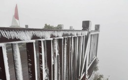 Video: Băng giá phủ kín đỉnh Fansipan khi nhiệt độ giảm sâu -3 độ