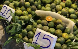 Tiểu thương lý giải nguyên nhân giá cam sành rẻ bất ngờ, giá chỉ vài nghìn đồng/kg