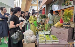 Hội chợ Mùa Xuân lần thứ Nhất -  năm 2026 của Hà Nội có quy mô thế nào tại 30 xã, phường?