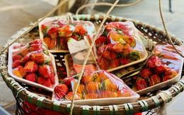 Dâu tây Trung Quốc bán tràn ngập thị trường, người tiêu dùng cần lưu ý điều này để không bị "qua mặt"