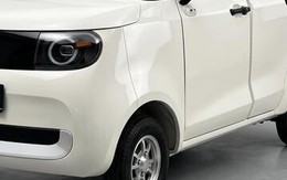 Ô tô điện giá từ 123 triệu đồng đổ bộ, cấu hình 4-5 cửa, 4 chỗ ngồi nhiều công năng khác biệt có đốn tim khách Việt?