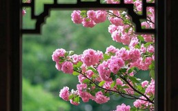 Ngày sinh Âm lịch của người tham vọng, sự nghiệp dễ thăng hoa