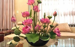 'Hoa đạo' - Loại hình nghệ thuật vừa mang giá trị thẩm mỹ lại có lợi cho sức khỏe