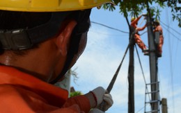 Lịch cúp điện Vĩnh Long (Trà Vinh cũ) từ ngày 13 - 18/10/2026: Sẽ có nơi cúp điện hơn 10 tiếng/ngày
