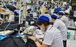 Tin sáng 16/10: Tuổi nghỉ hưu năm 2027 là bao nhiêu? Những khu vực nào của Hà Nội sẽ ưu tiên cắt tỉa, dịch chuyển bớt cây hoa sữa?