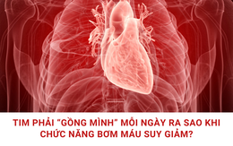 Tim phải "gồng mình" mỗi ngày ra sao khi chức năng bơm máu suy giảm?