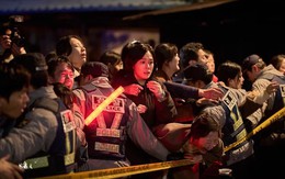Phim mới của đạo diễn 'Train to Busan' chưa ra rạp đã 'phủ sóng' toàn cầu