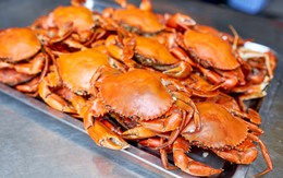 Cua Việt Nam có gì đặc biệt mà được thị trường quốc tế ưa chuộng đến vậy?