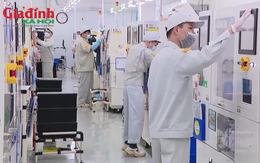 Gần 15.000 doanh nghiệp được hoàn thuế