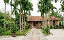 Loài cây hấp thụ độc tố và bụi bẩn lại mang ý nghĩa bình an trong cuộc sống 