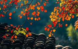 Ngày sinh Âm lịch của người có phúc phần, càng trưởng thành càng dễ gặp may mắn