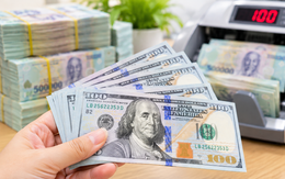 Tỷ giá USD hôm nay 24/10: Giá USD bán ra quanh vùng 26.000 đồng, người mua cần lưu ý những gì?