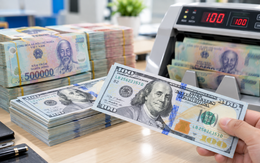 Tỷ giá USD hôm nay 25/10: Đồng tiền xanh chững giá, đầu tư USD lúc này có nên không?