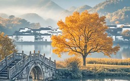 Ngày sinh Âm lịch của người không đẹp xuất sắc vẫn khiến bao người say đắm