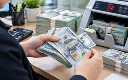 Tỷ giá USD hôm nay 27/10: DXY tăng, USD ngân hàng tăng, USD chợ đen chững giá, người có nhu cầu mua USD, cần lưu ý những gì?
