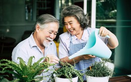 Tuổi già viên mãn: 3 điều vợ chồng càng lớn tuổi càng phải giữ
