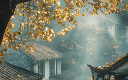 Tháng sinh Âm lịch của người khó bị lu mờ: Đi đến đâu cũng dễ trở thành tâm điểm